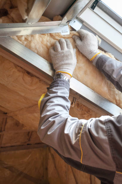 Best Insulation Maintenance and Repair in West Buechel, KY