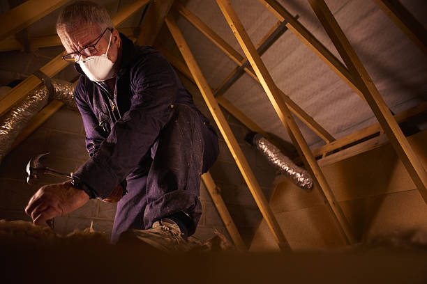 Best Energy Efficiency Solutions in West Buechel, KY